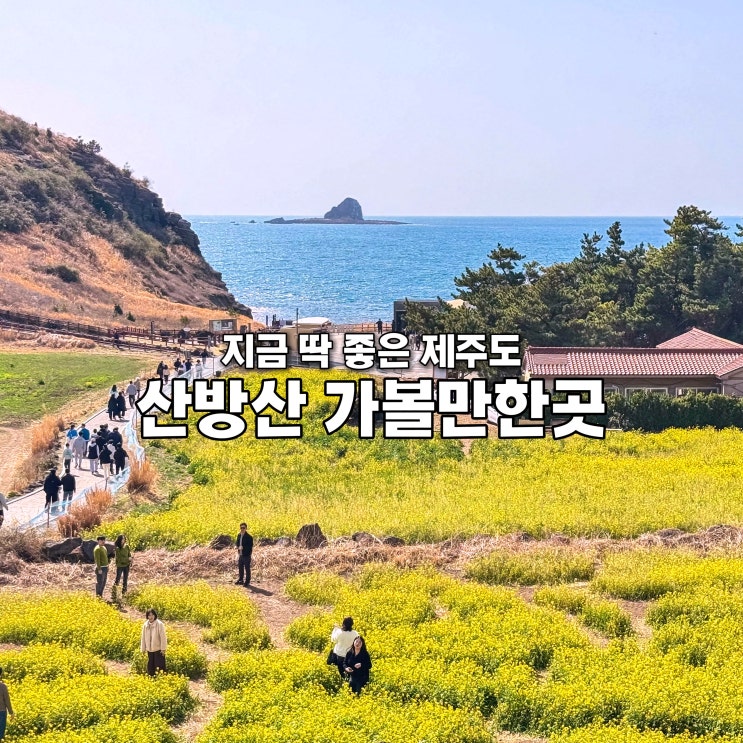 제주 산방산 근처 가볼만한곳 카페 & 맛집