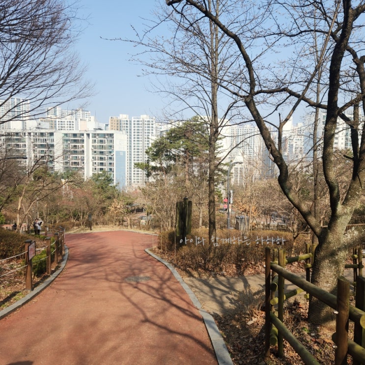  도덕산 주차 출렁다리 1시간 코스 광명 아이와 갈만한곳 추천