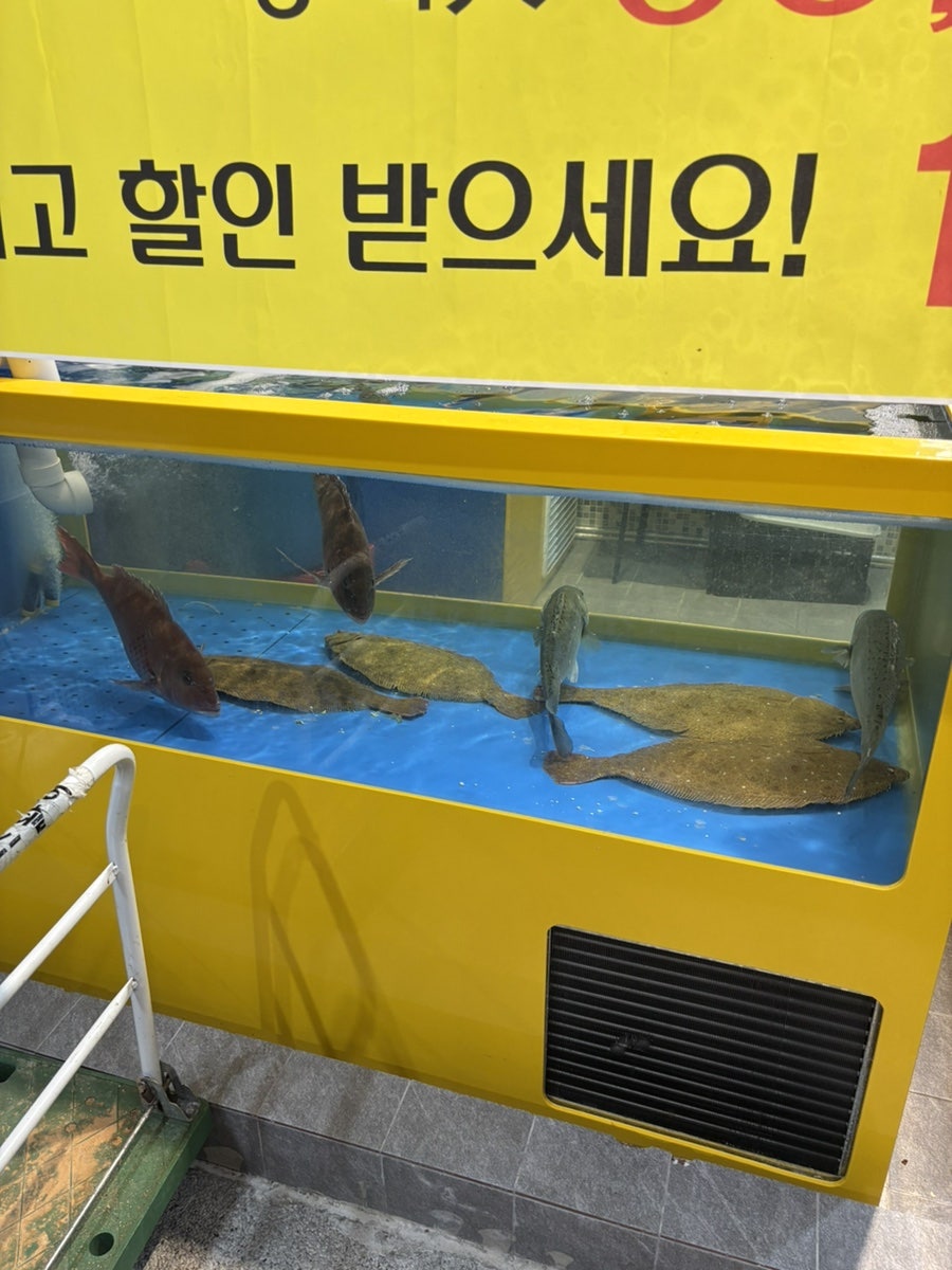 팜스활어횟집 사진 7