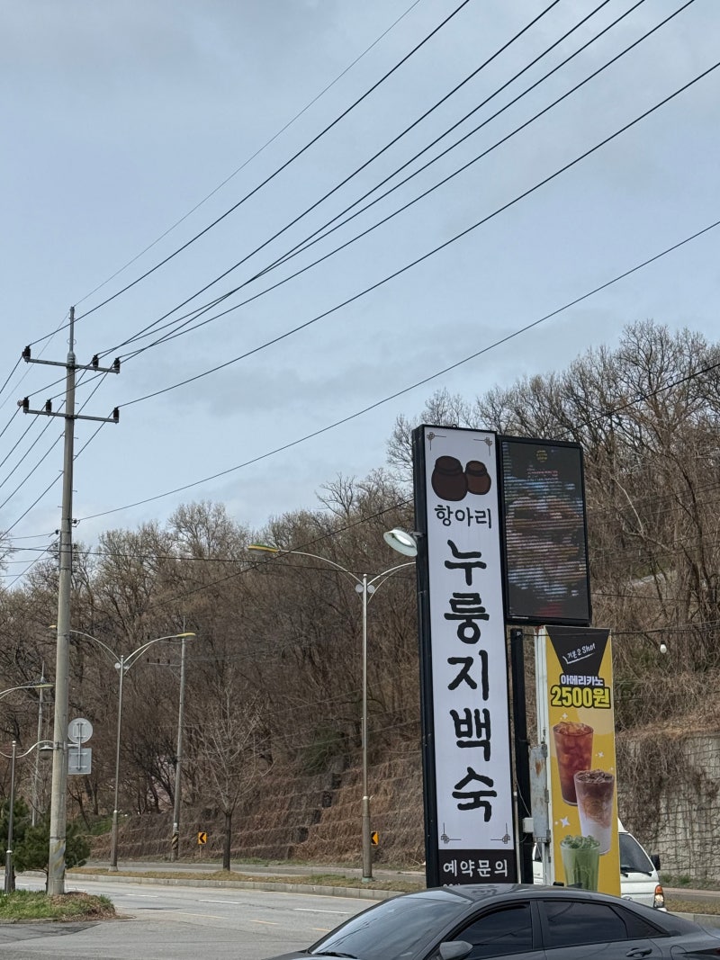 사진 8