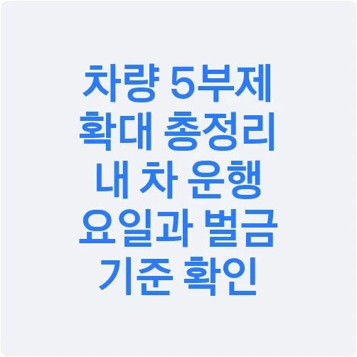 차량 5부제 확대 총정리 내 차 운행 요일과 벌금 기준 확인