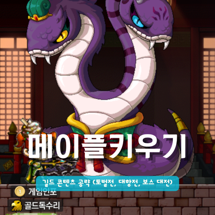  메이플키우기 길드 콘텐츠 공략 (토벌전, 대항전, 보스 대전)