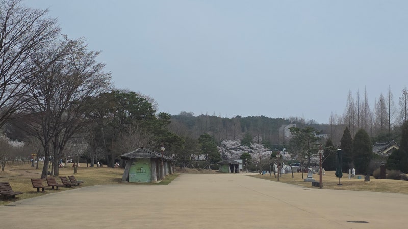 사진 4