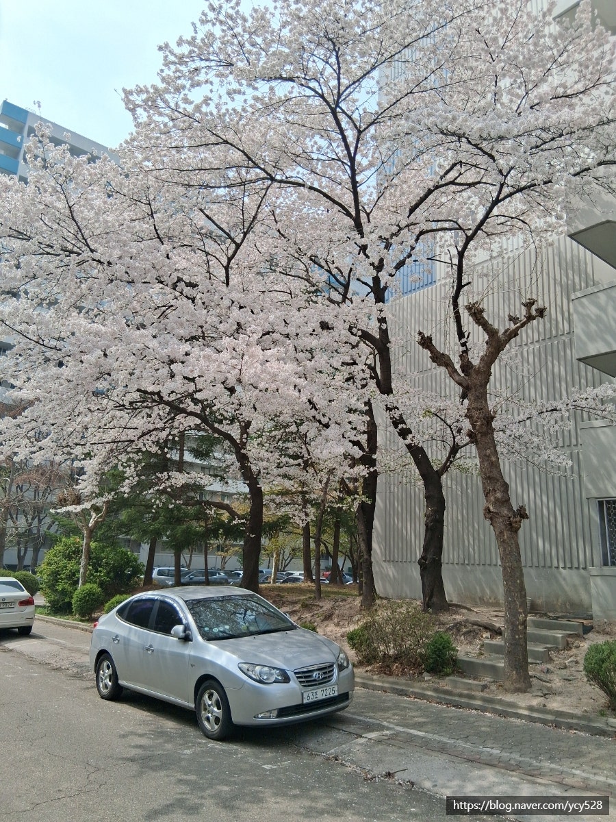 보람각 사진 2