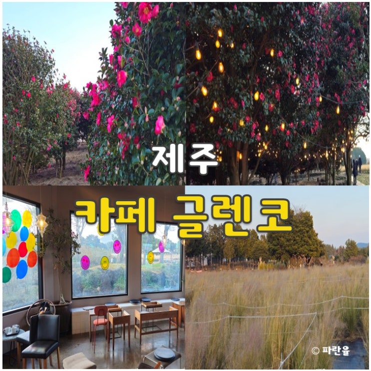  제주도 카페 추천 글렌코 동쪽 구좌읍 동백꽃 명소