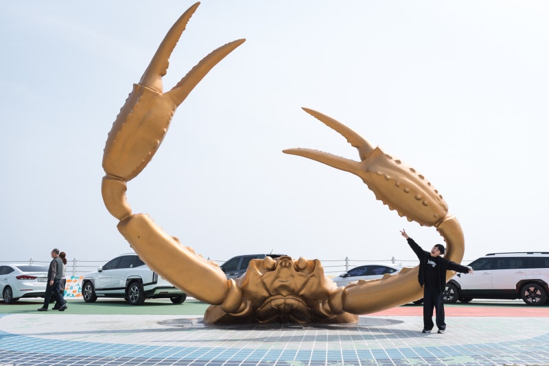 영덕대게축제 제대로 즐기기｜대게라면, 체험부스, 이벤트, 사진 스팟 후기 꿀팁