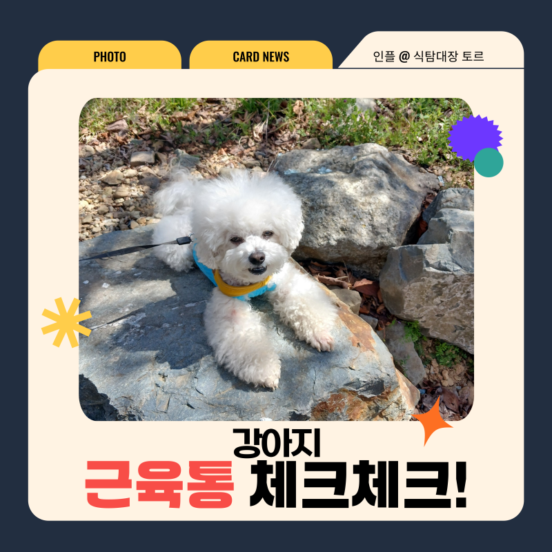 사진 4