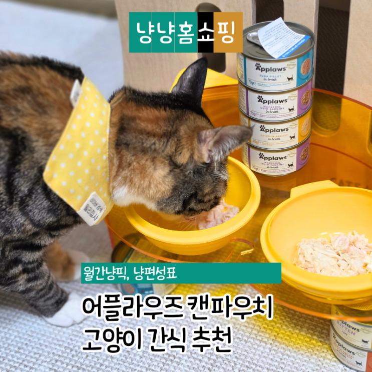  어플라우즈 캔 파우치 고양이 간식 추천 기호성 좋은 실제 급여 후기