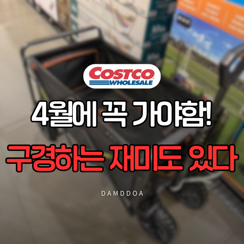 4월에 코스트코 '꼭' 가야하는 이유, 구경하는 재미도 있다!