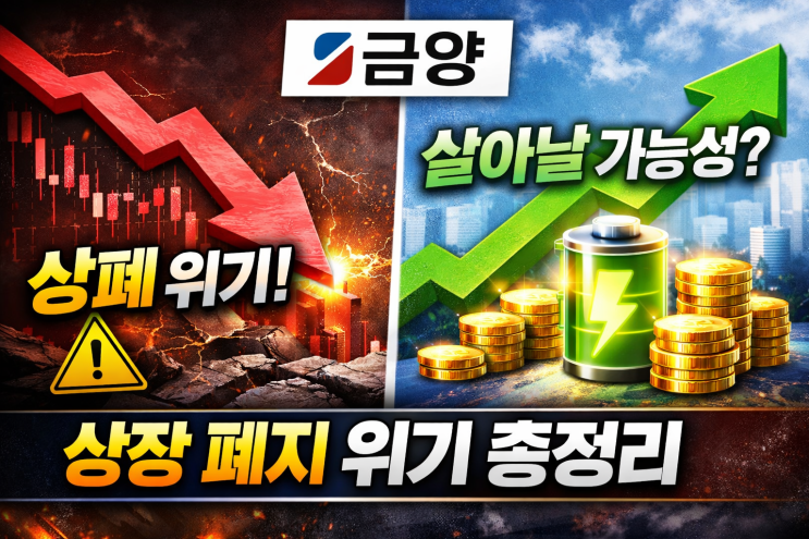  금양 주식 전망 생존 가능성은 얼마나 될까 ?