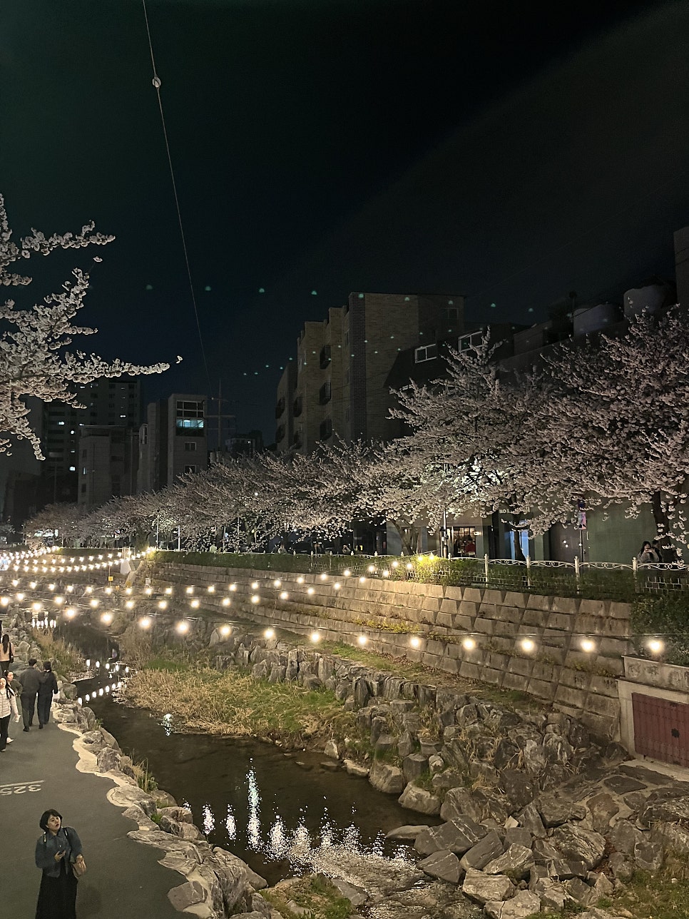 미림전집 사진 1