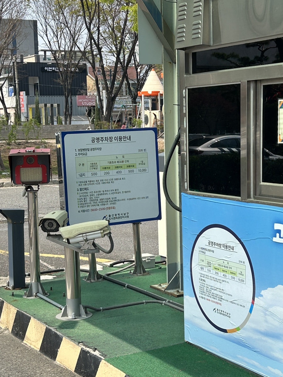 핑크코끼리 울산삼산점 사진 3