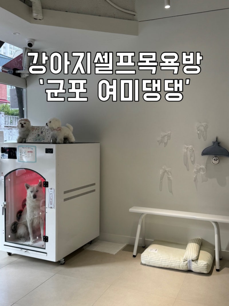 여미댕댕