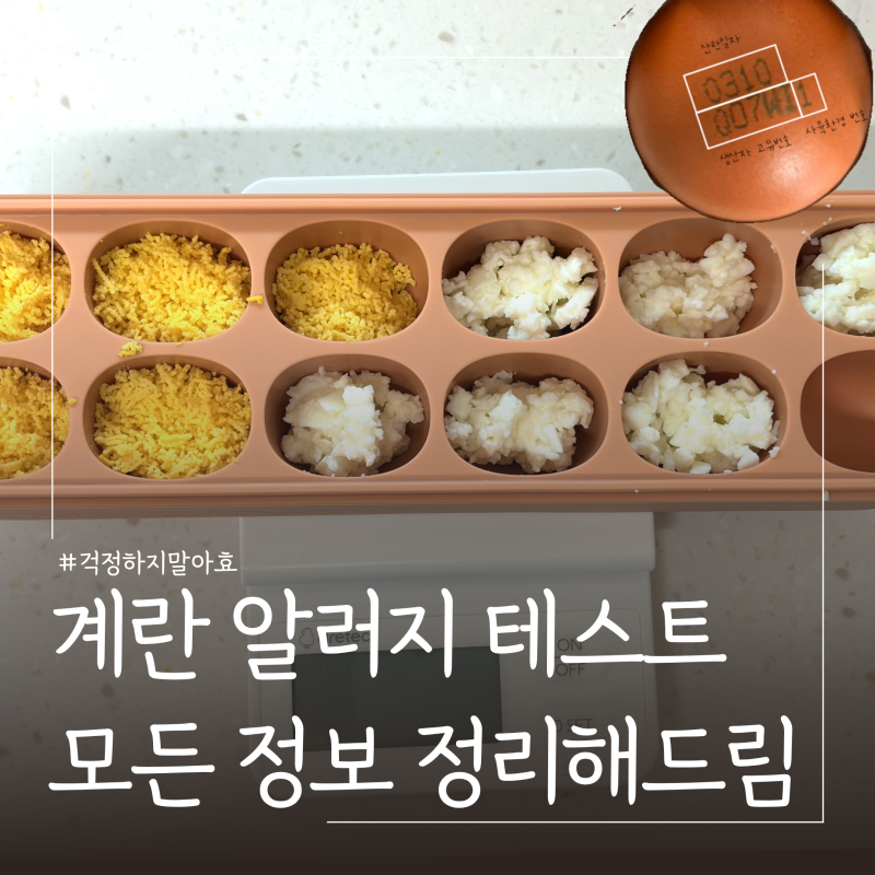 6개월 아기 계란 알러지테스트 방법, 증상 및 주의사항 l 난각번호 해석, 흰자노른자 성분 차....