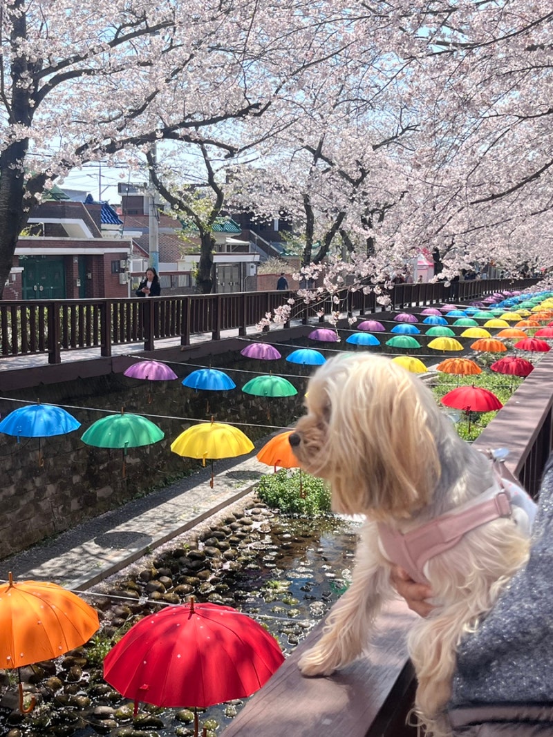 사진 5