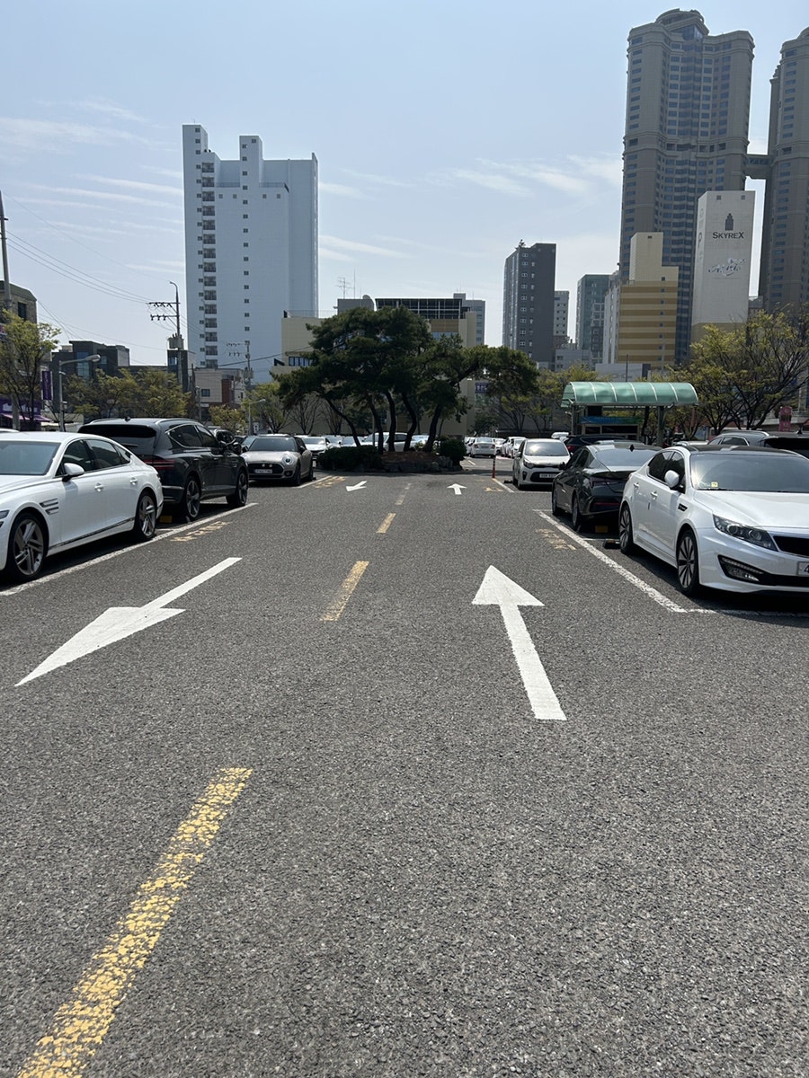 핑크코끼리 울산삼산점 사진 2