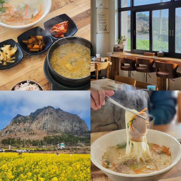  제주 산방산 맛집 소희네 고기국수 몸국 제주도 산방산 근처 맛집