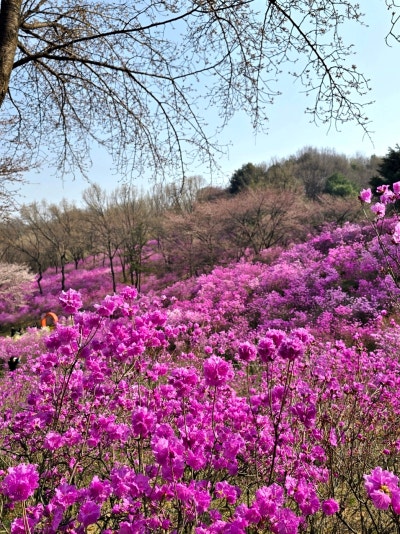 사진 6
