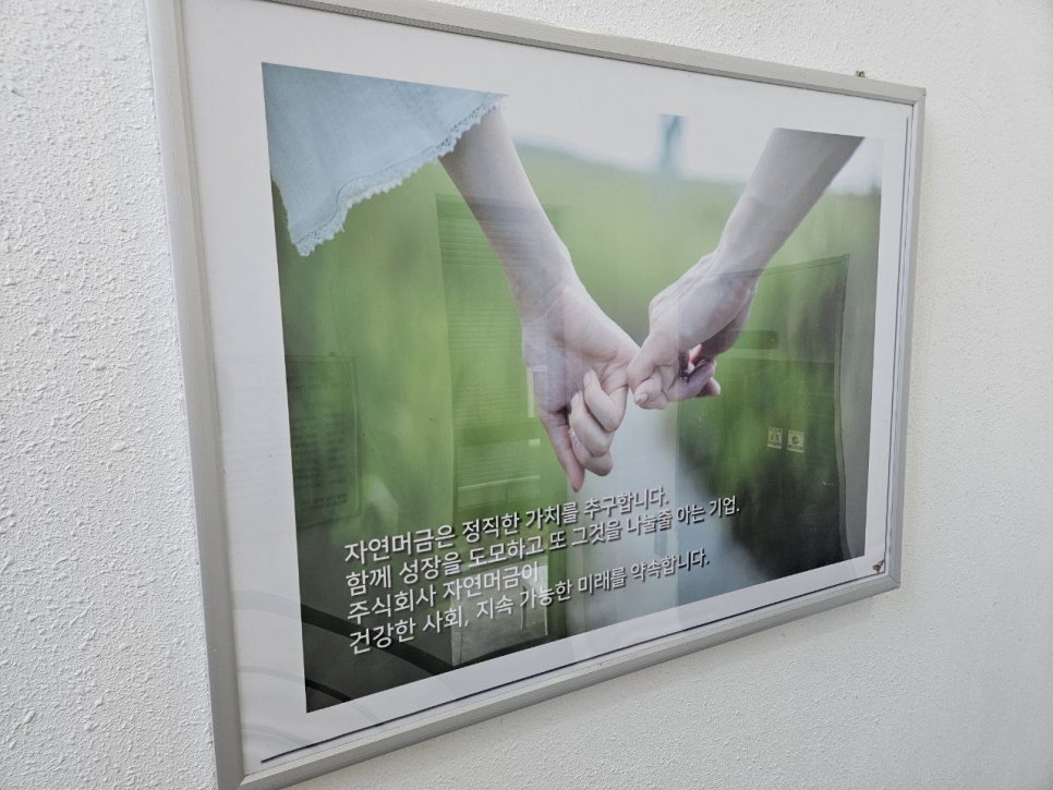 자연머금 사진 5