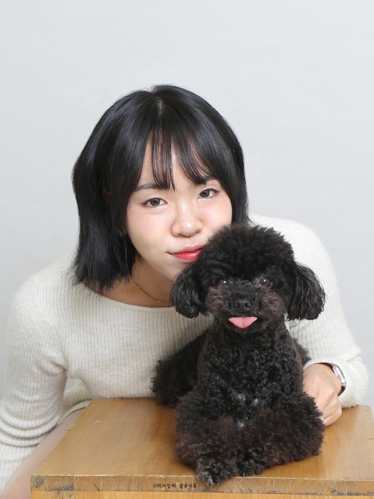  울산 셀프사진관 포토이즘 강아지 동반 가족사진 후기
