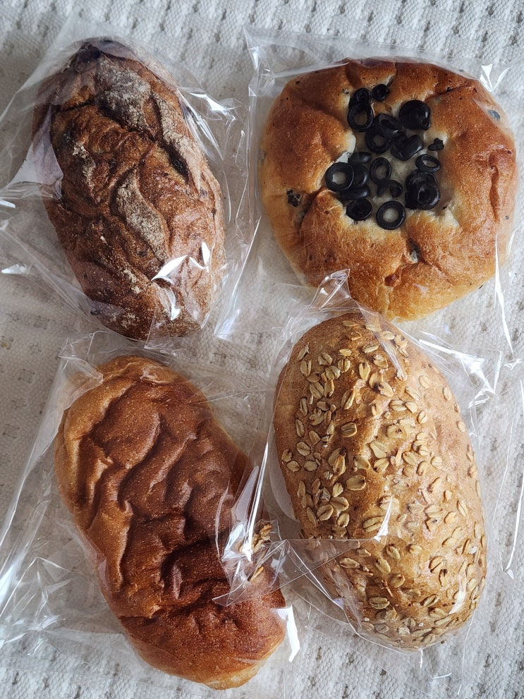  전주빵집 송해븐 건강빵 솔직 후기 (전주빵지순례 추천)