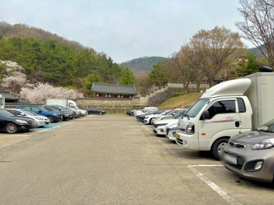 사진 5
