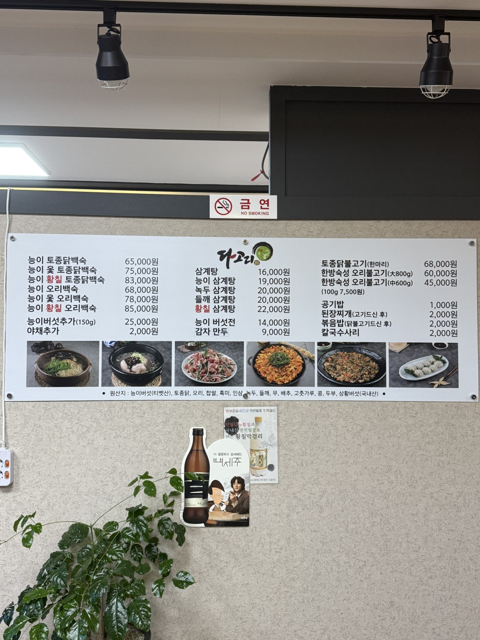 다고리 사진 4