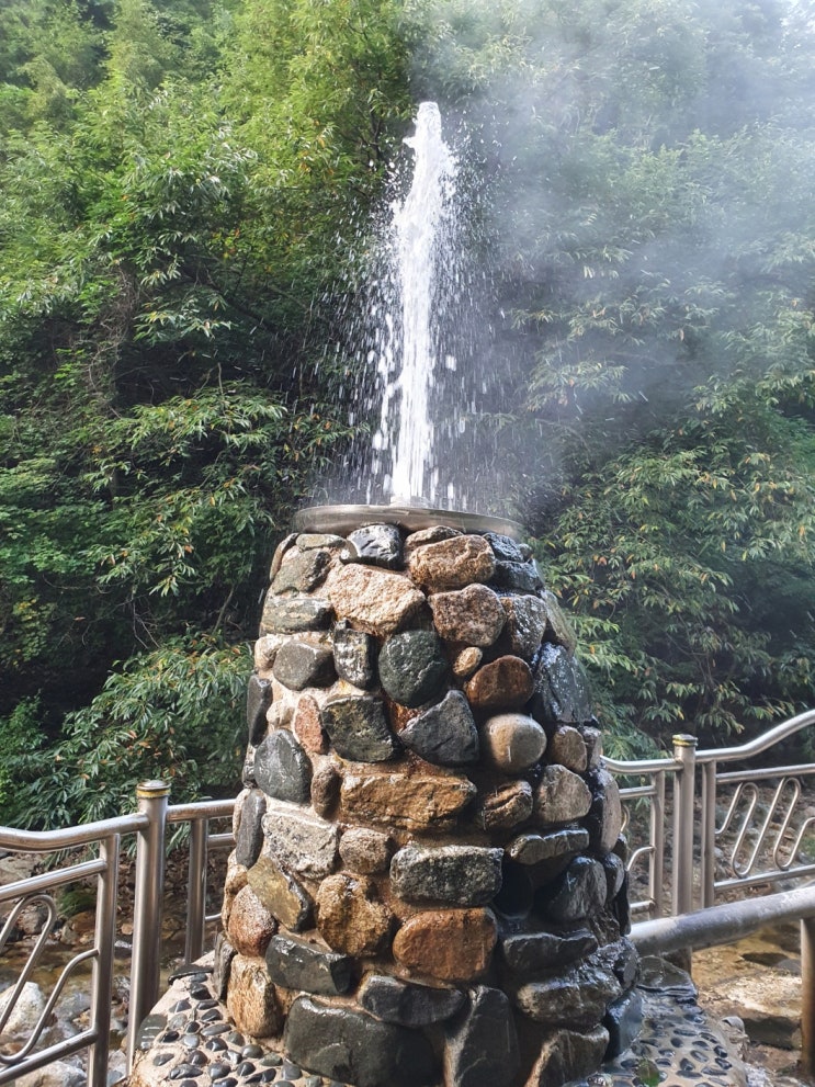  한약, 그거 정체모를 검정물 아니냐? [다사대실한의원]