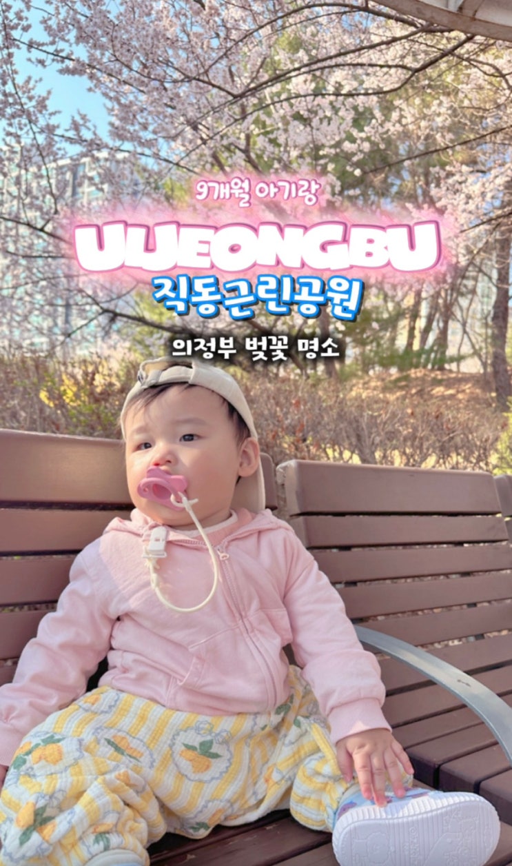  의정부 벚꽃 개화 현황 아이랑 가기 좋은 직동근린공원 방문 후기 (26.04.02 방문)