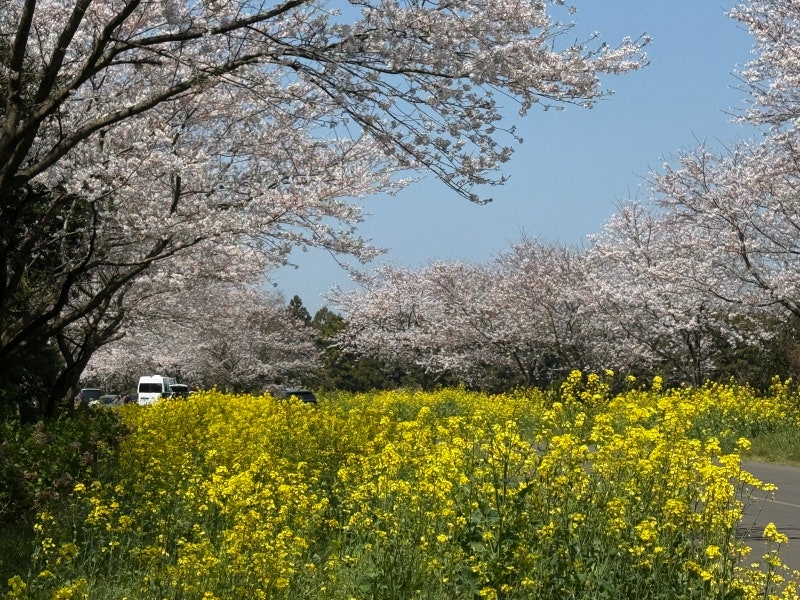 사진 5