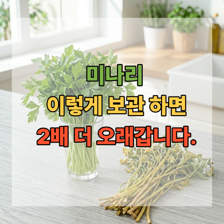  미나리 보관법 이렇게 하면 2배 더 오래갑니다!