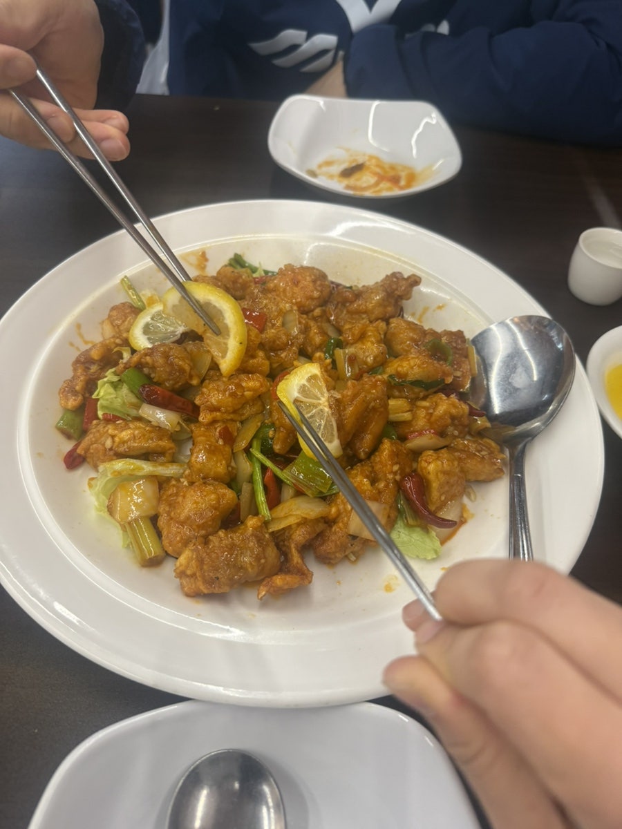 젠차이 사진 2