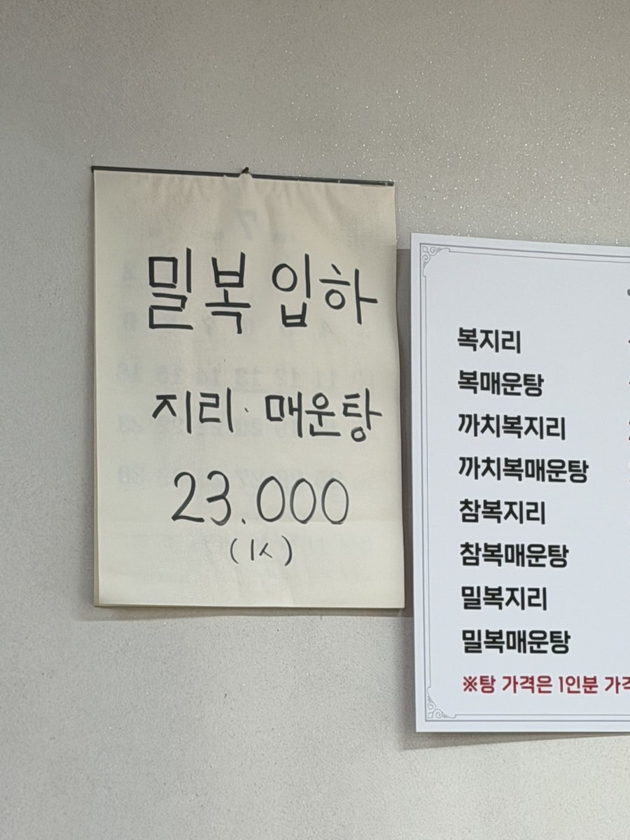 내리복어 사진 5