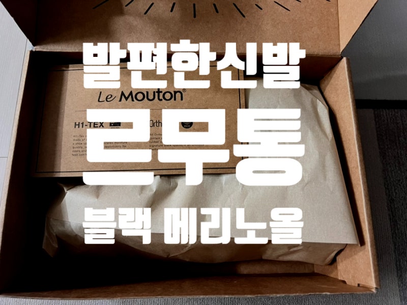 르무통 발편한신발 메리노울 운동화 구매 후기
