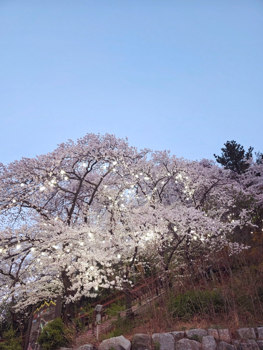 단오길설렁탕 사진 1