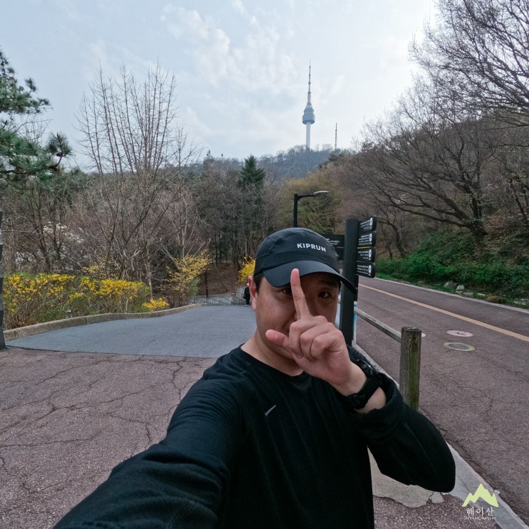 이래서 남산 남산 하는구나? 봄꽃 피기 시작한 남산 북측순환로 러닝 후기