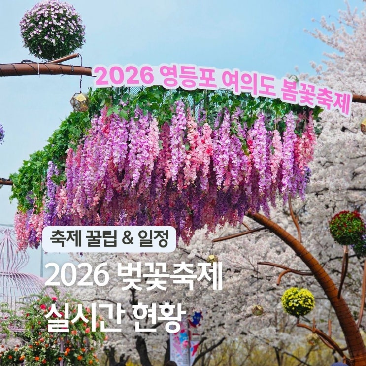  여의도 윤중로 벚꽃축제 2026 실시간 가는법 교통통제 서울 4월 꽃구경 놀거리