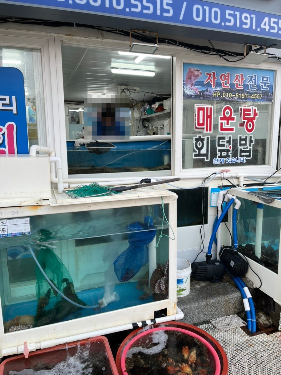 하리회센타 사진 6