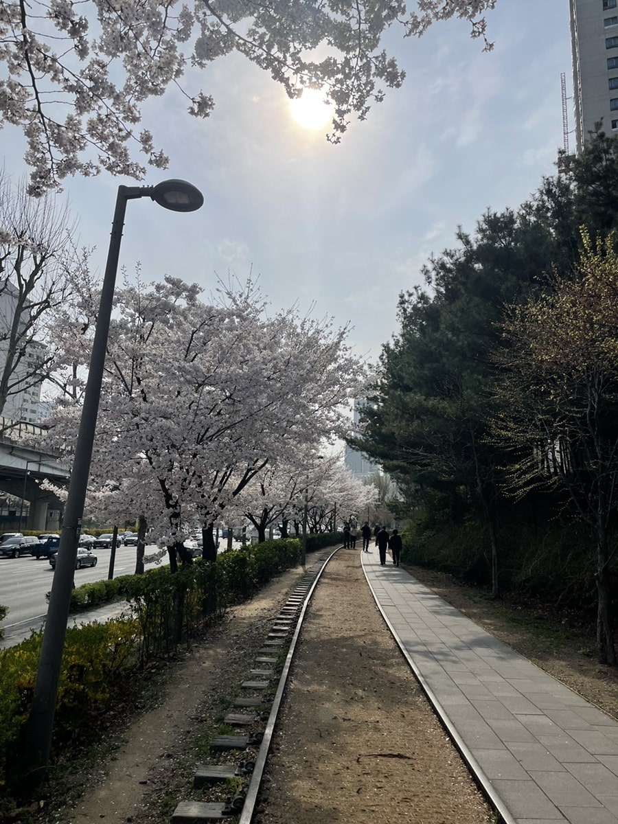 쪼매매운떡볶이 공릉점 사진 1