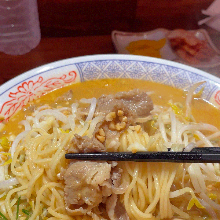  모리아 둔산동 라멘 | 일식만 38년! 대전 시청 맛집에서 만나는 진짜 '장인의 라멘'