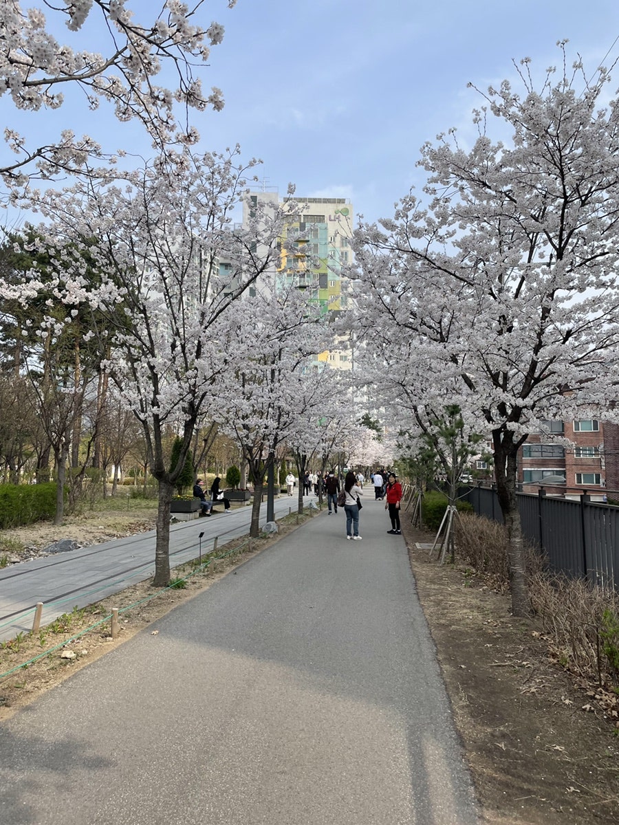 쪼매매운떡볶이 공릉점 사진 2