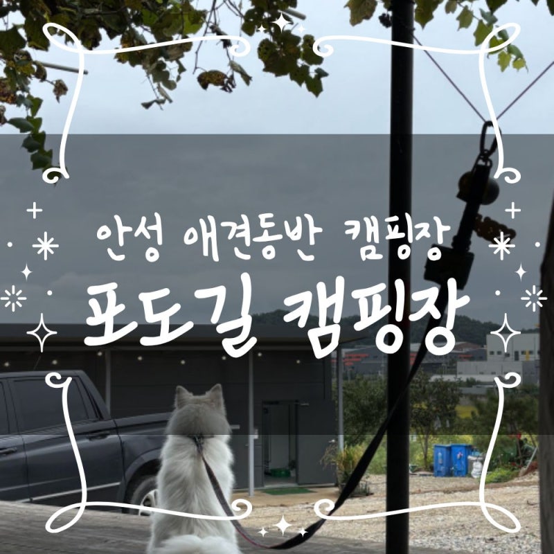 사진 7