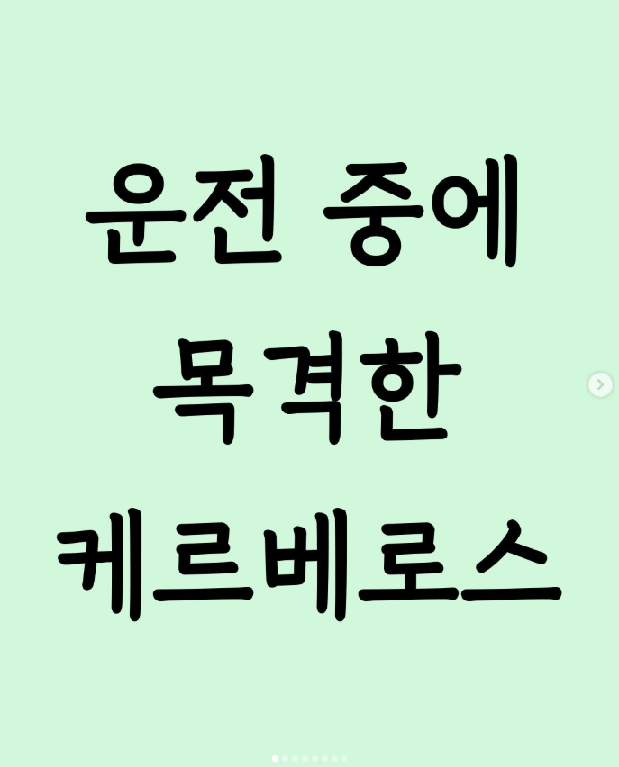  운전 중에 목격한 케르베로스