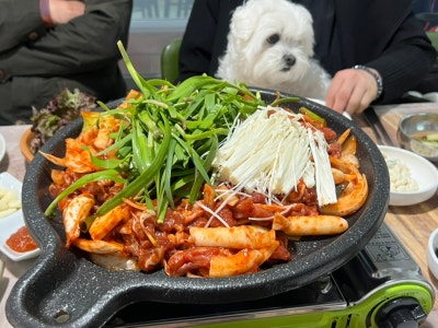 부산[기장] 기장애견동반맛집/ 프라이빗맛집/ 기장맛집/ 장안사근처맛집/ 기장가족외식추천/ 기장오리고기 "만수장가든" 솔직후기