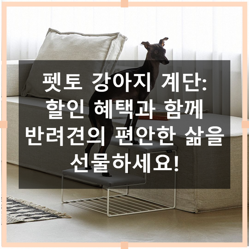 사진 2