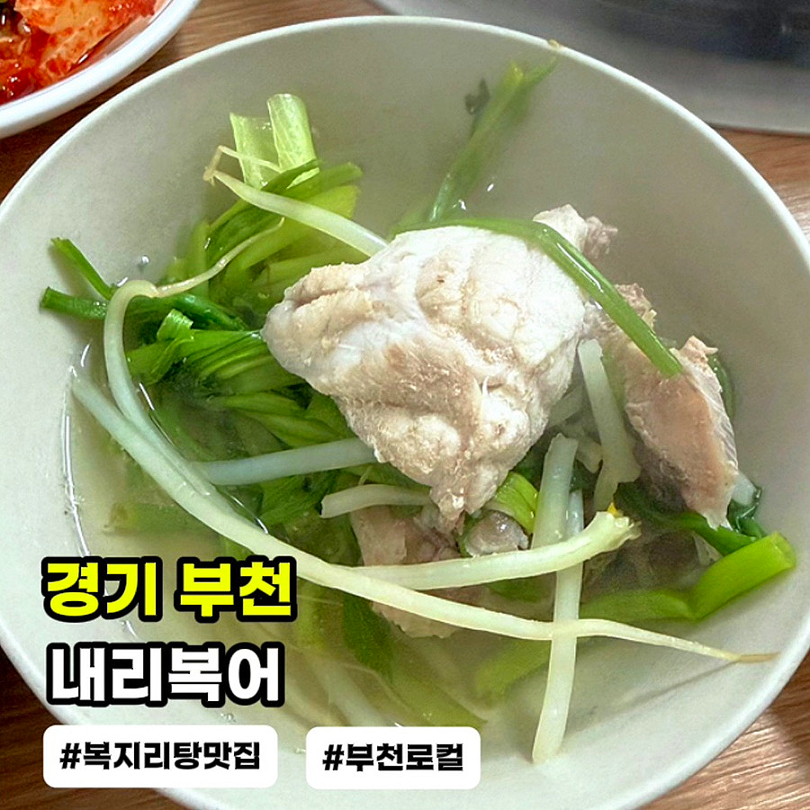 내리복어 사진 1