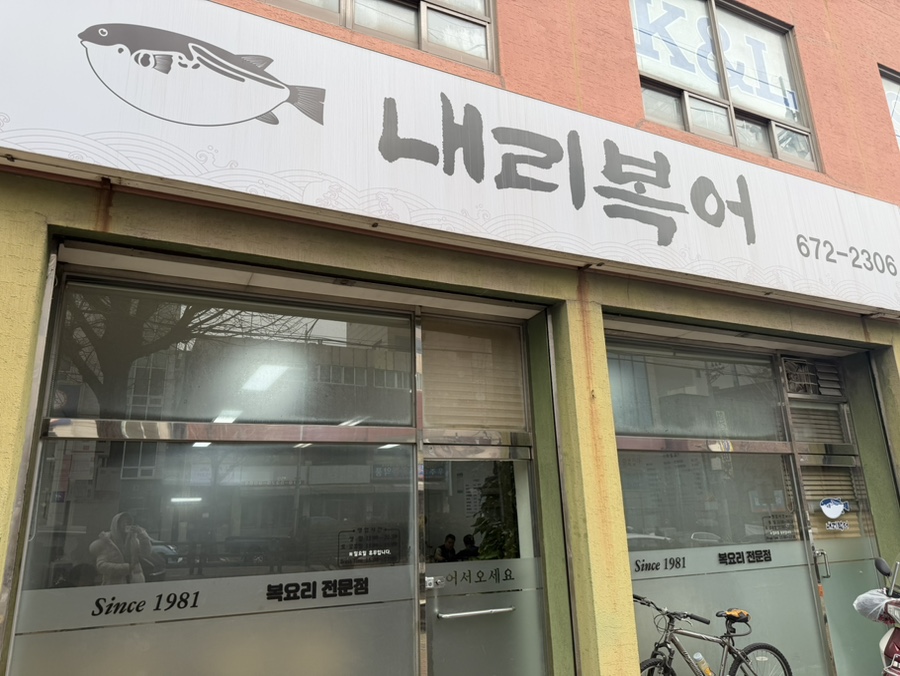 내리복어 사진 2