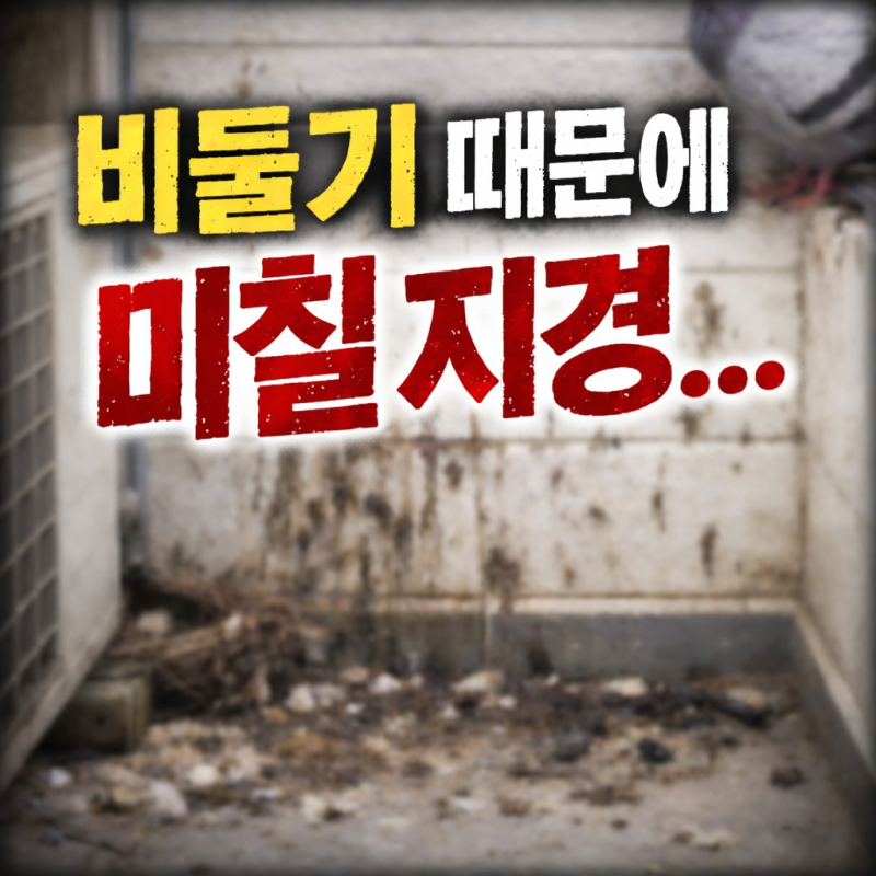 비둘기 때문에 미칠 지경이었는데… 이거 하나 두고 나서 달라졌다