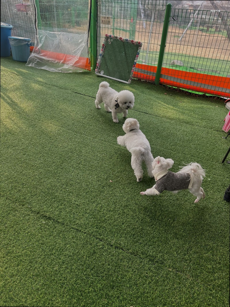 애원카페