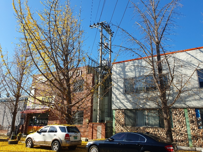  [대구/달서구] [공장] 매매보다 저렴한 반값 14억 파격 경매, 성서산단 내 460평 사옥 마련의 결정적 기회! - 2024타경43980